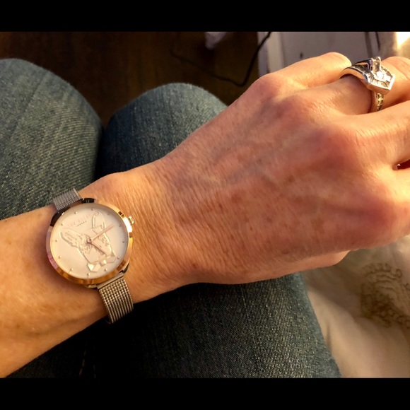 NWT Ted Baker French bulldog Boston Terrier watch - Picture 5 of 6